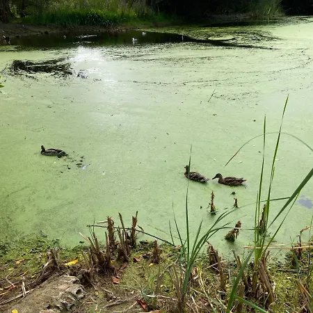 Atico Masso Apartmán Cangas do Morrazo