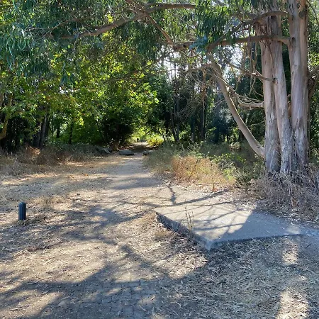 Atico Masso Apartman