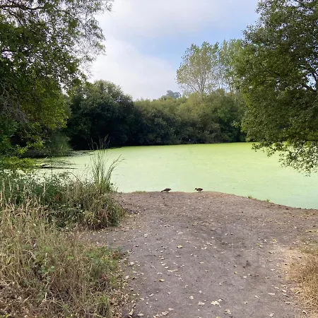 Atico Masso Apartmán *