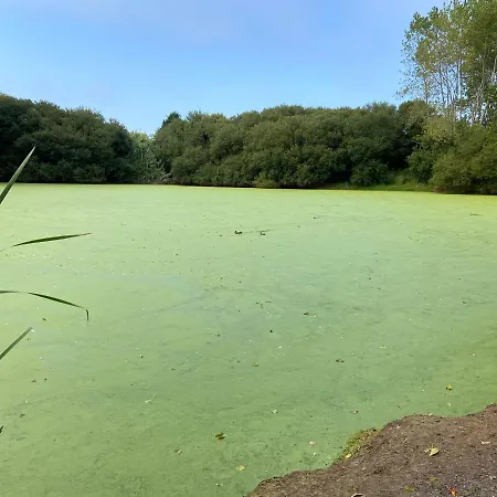 Atico Masso Apartman