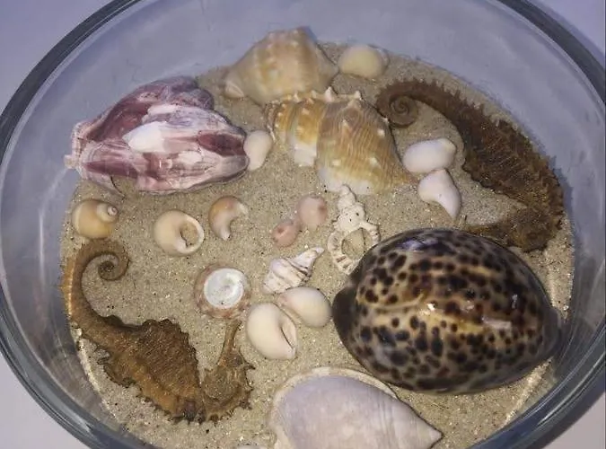 Atico Masso קנגס דה מוראסו