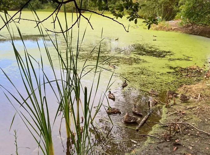 Atico Masso קנגס דה מוראסו