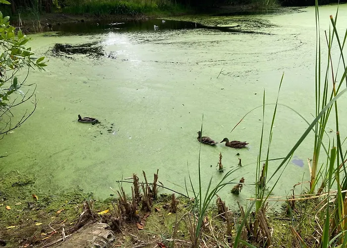 Atico Masso דירה קנגס דה מוראסו