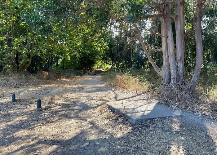 Atico Masso דירה