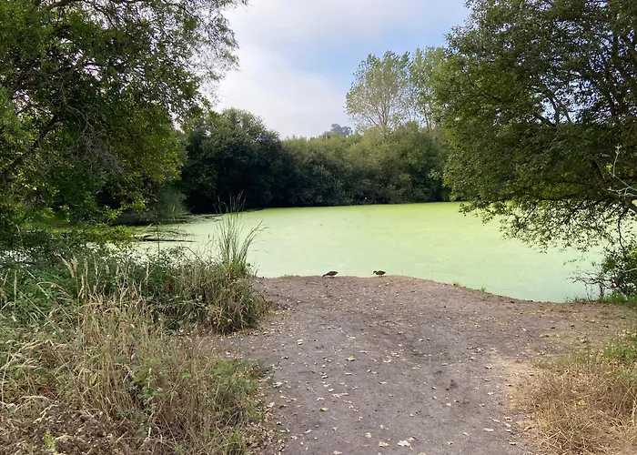 Atico Masso דירה *