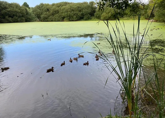 Atico Masso كانجاس دي مورازو
