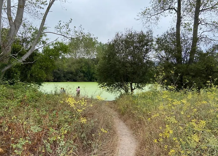 דירה Atico Masso *